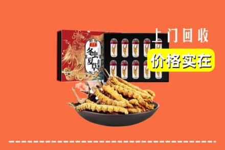 南平市回收冬虫夏草